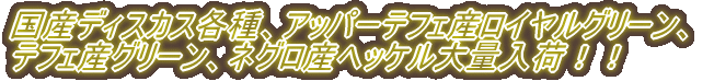 3��20���A�j�Q�u���[���[�S�\�������A���C�����u���[�X�y�V�����̓��ׁI �{�Ƃj�Q�փ��[�S�\���������C�����u���[�̃X�y�V�����̂��͂��܂����I ���̑��A�X�y�V�����̂𑽐����ׁI�B�e���揇���z�[���y�[�W�t�o���܂��I