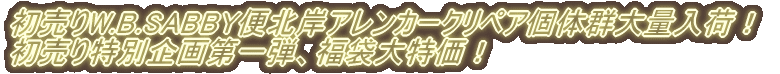 �t�̃X�v�����O�Z�[���J�Ò��I�I 